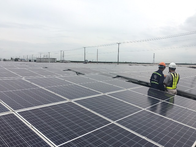 Final visual inspection prior to handover the plant