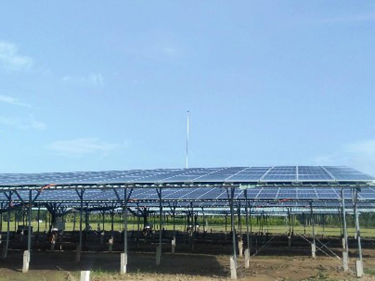 Nông trại điện mặt trời Phụng Hiệp