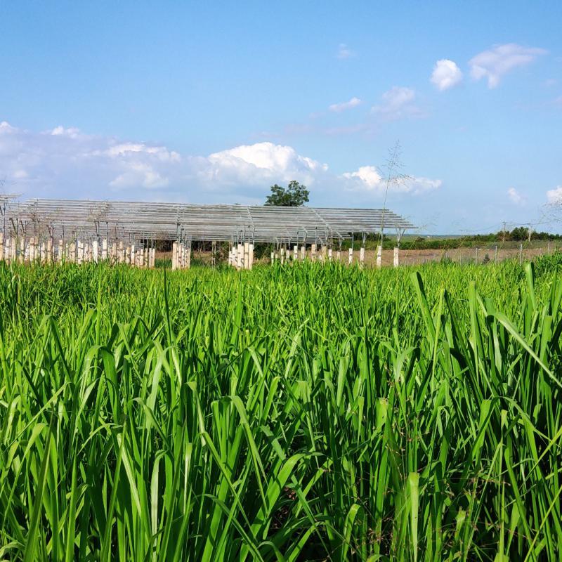 Nông nghiệp